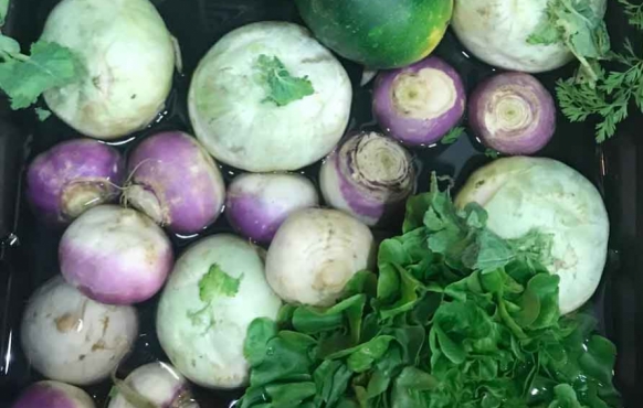White and purple turnips