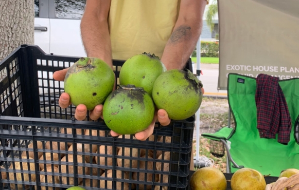 Fruit Hunters at Miami Springs Farmers Market