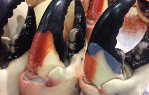 Stone crab claws
