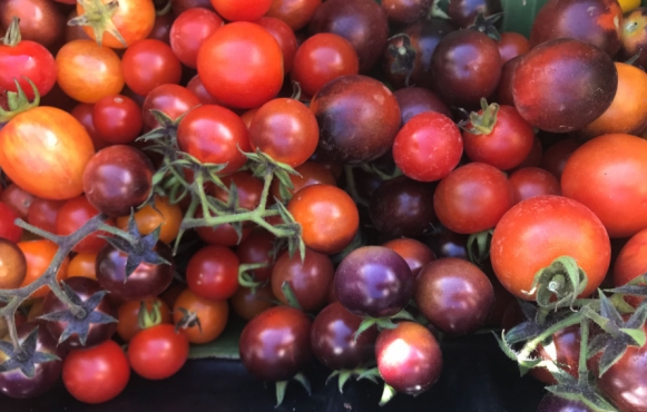 Heirloom cherry tomatoes