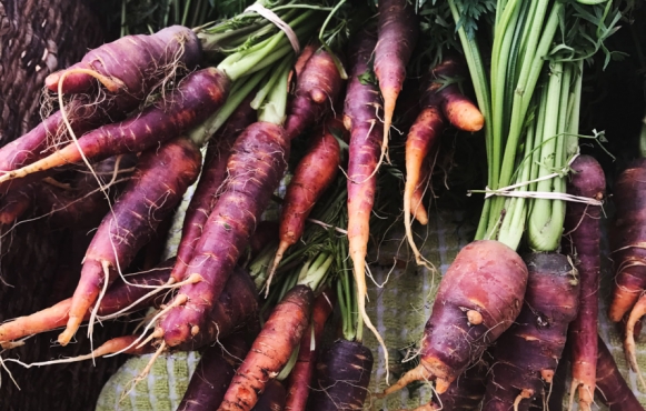 Farmers market carrots