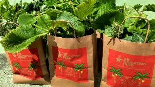 Produce bags from The Education Fund