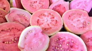 Redland guava from Homestead 