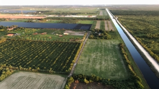 Aerial view of the Redland agricultural district