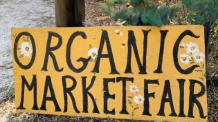 Monthly market fair at Tree Amigos/Natural Chai