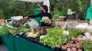 Local produce at Urban Oasis Project