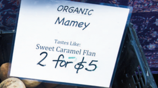 Organic mamey