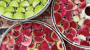 Radishes in the dehydrator