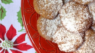 Sugar and Spice Cookies