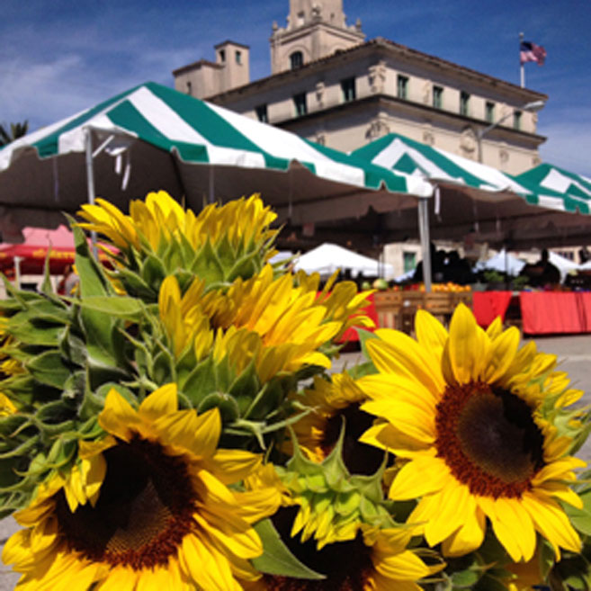 Coral Gables Farmers Market
