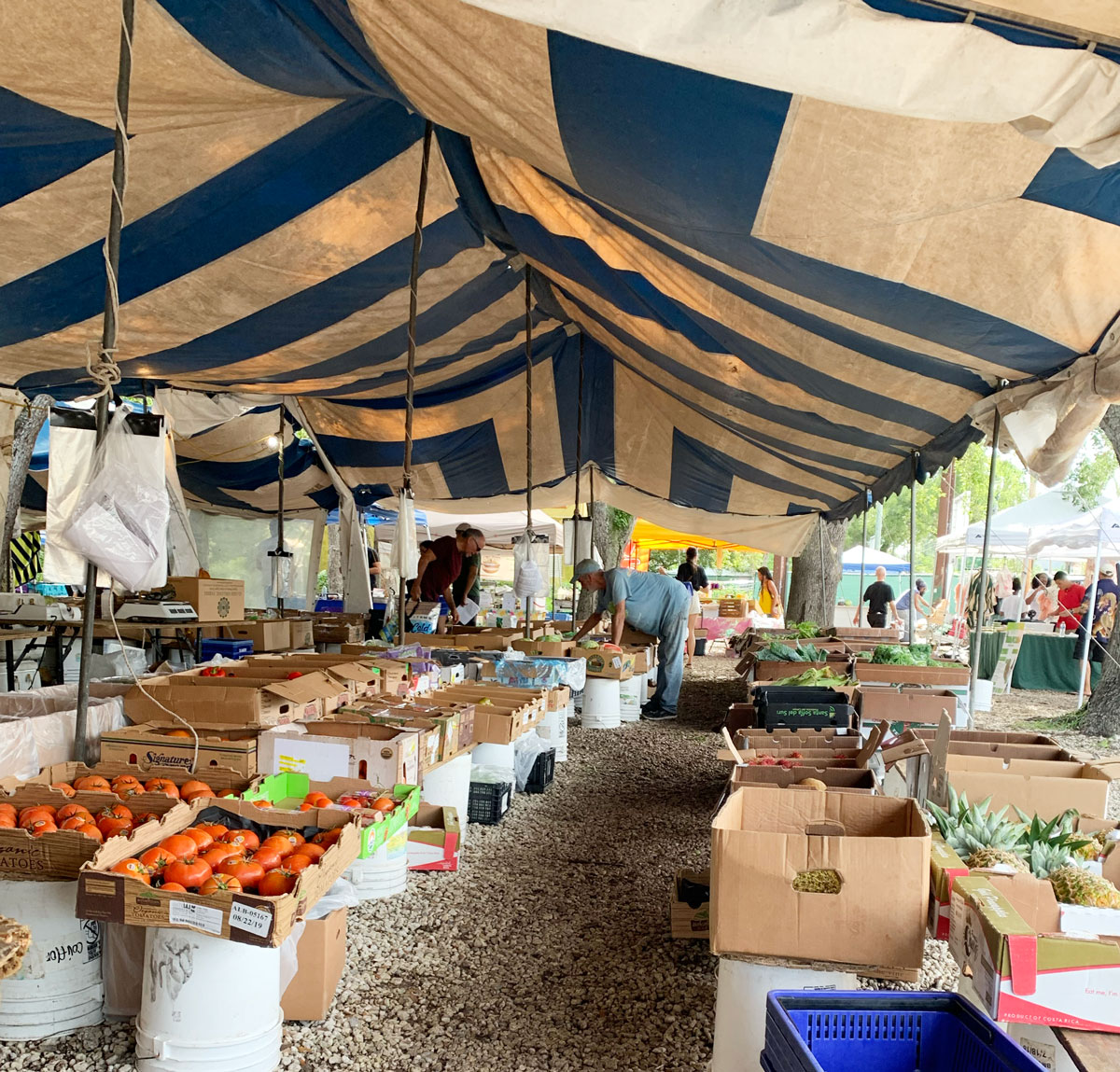 Glaser Organic Market Coconut Grove