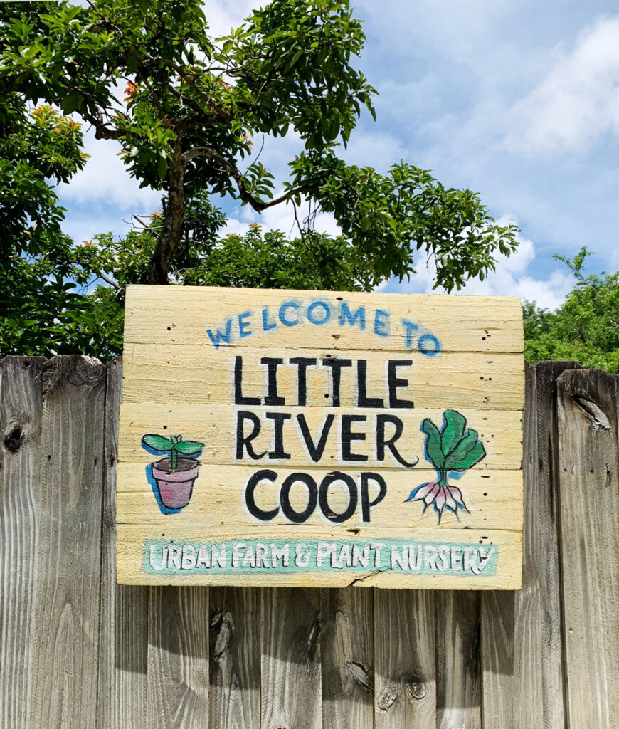 Little River Coop at AgriTrace Institute