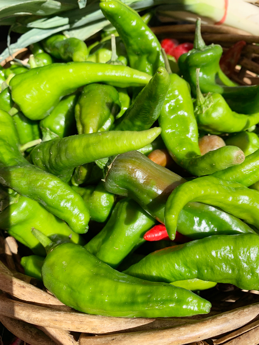 peppers-arsht-market.jpg