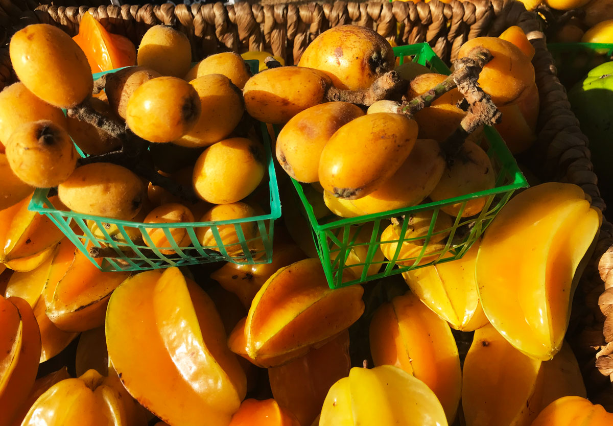 rare-fruit-loquat-starfruit.jpg