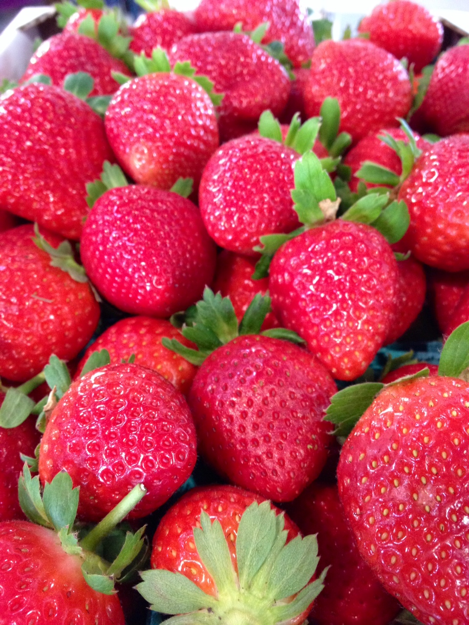 Strawberries from Knaus Berry Farm