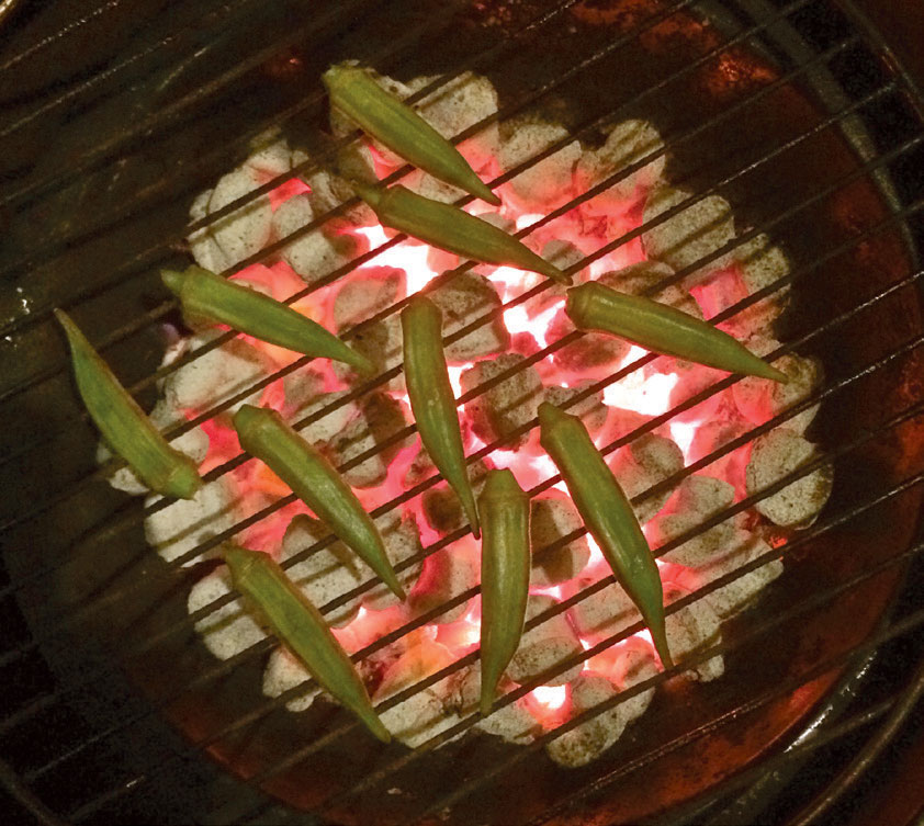 Grilled Okra