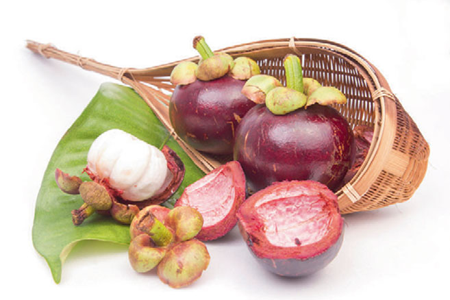Mangosteen
