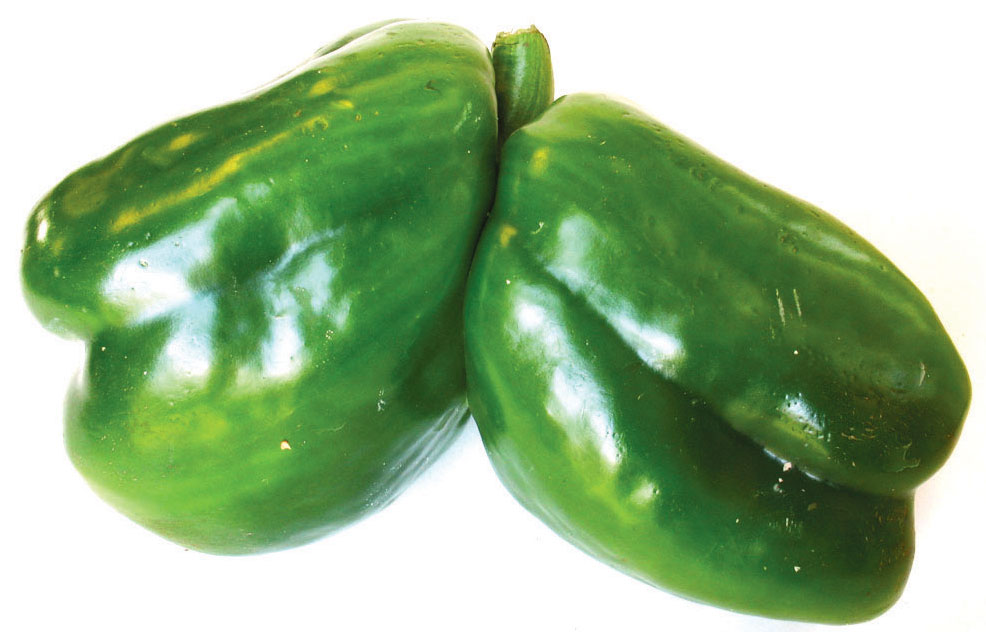 The Pepper Twins