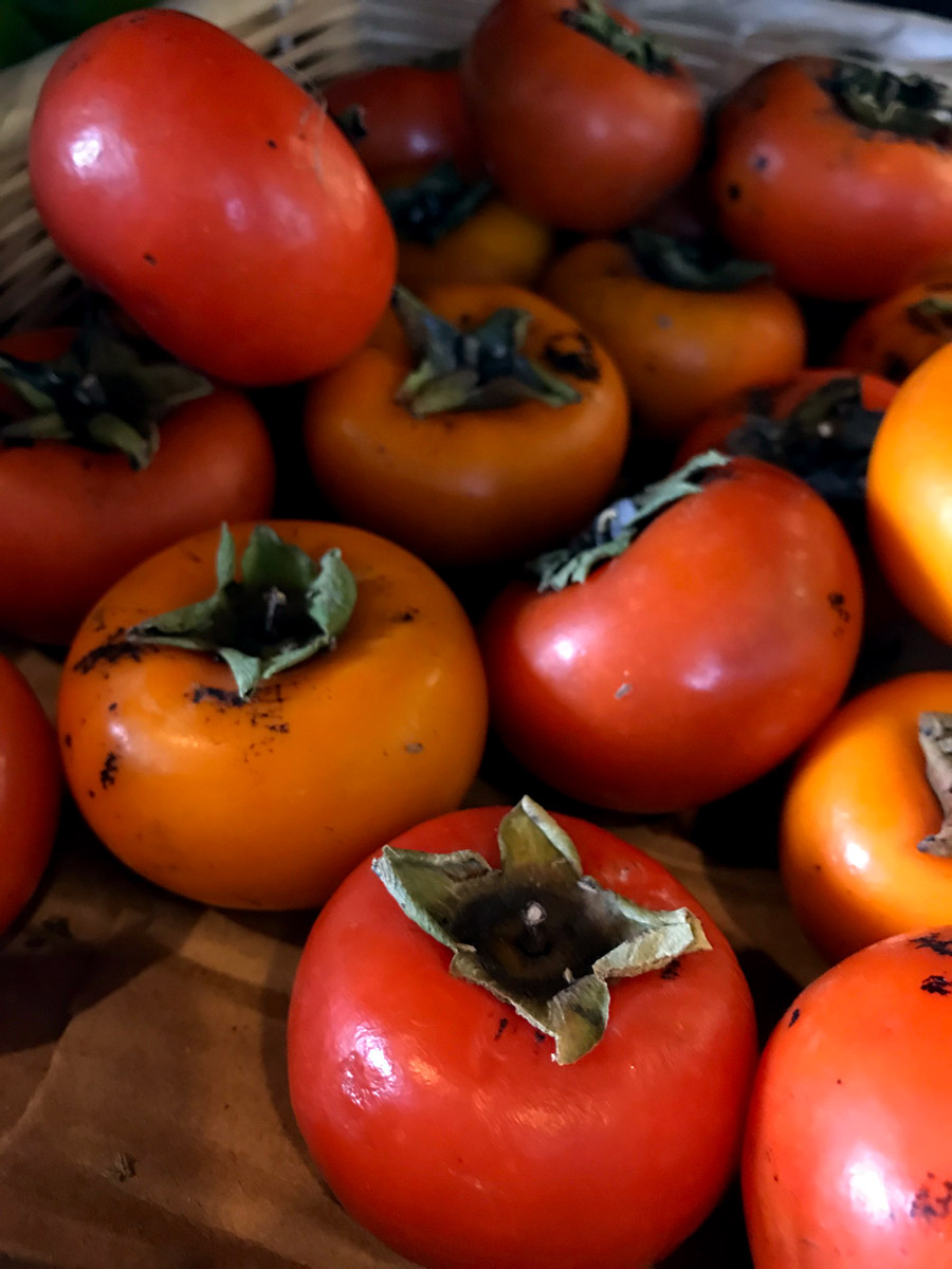 grimal-grove-persimmons.jpg