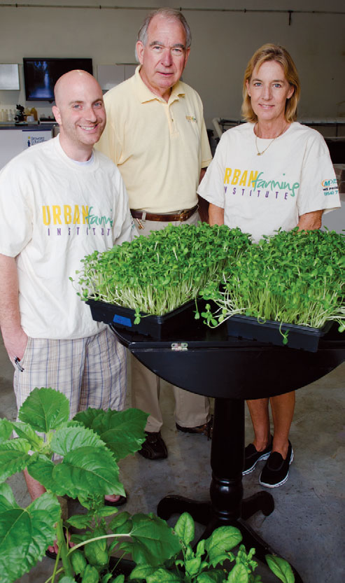 Eric Schneider, Albee, Townsend Pillsbury