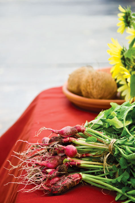 Radishes at the farmers market