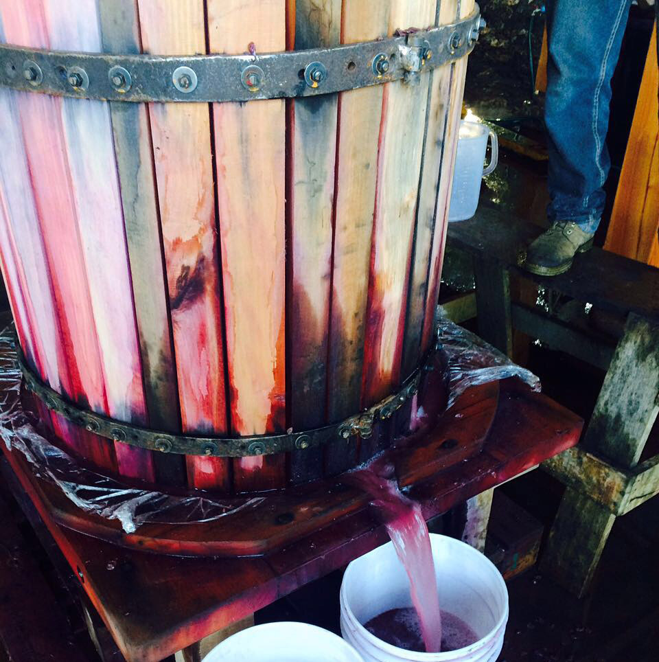 TINTO-wine-Press.jpg