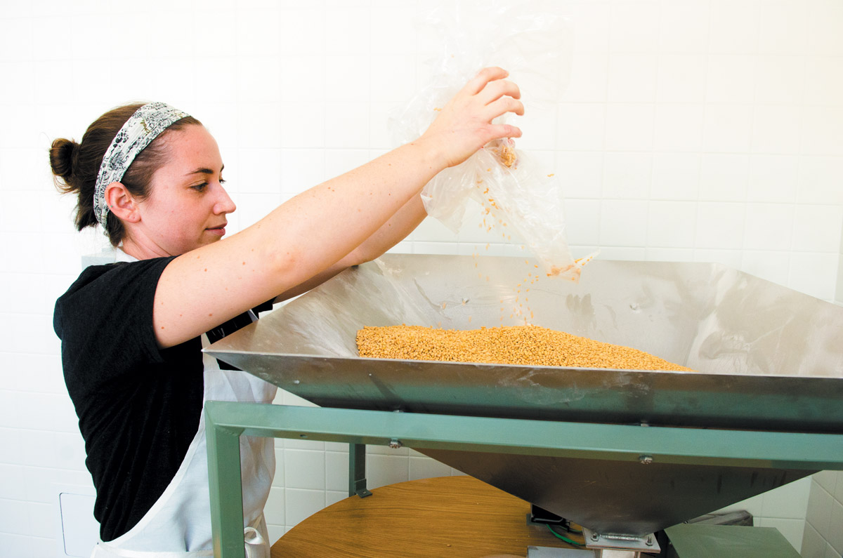 Adding wheat berries to hopper