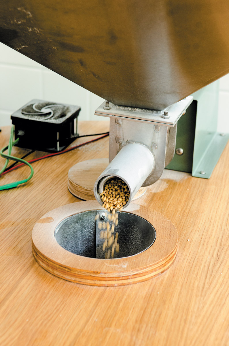 Flour emerges from mill