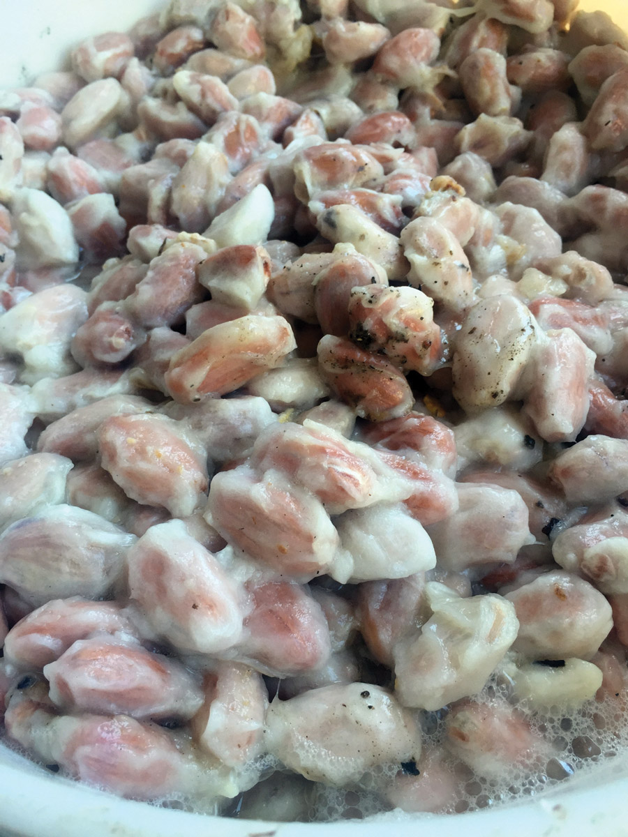 Fermented cacao beans