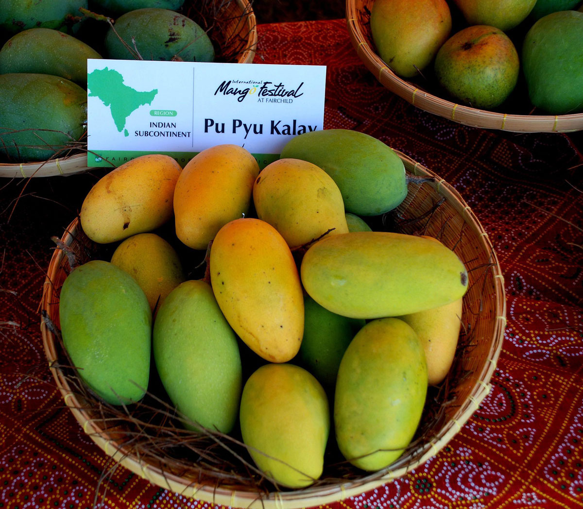 'Lemon meringue' mango