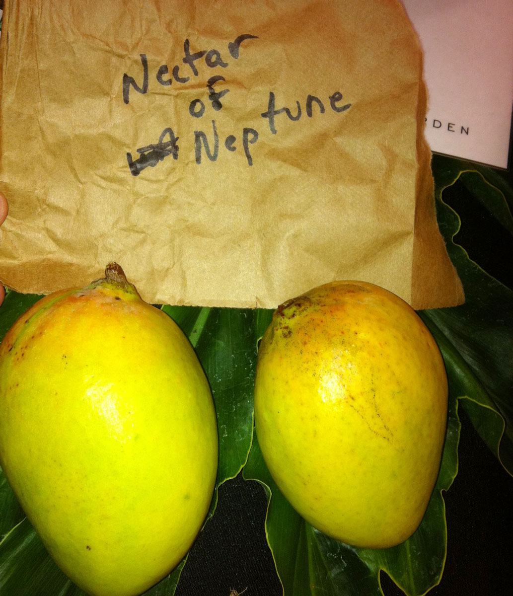'Nectar of Neptune' mango