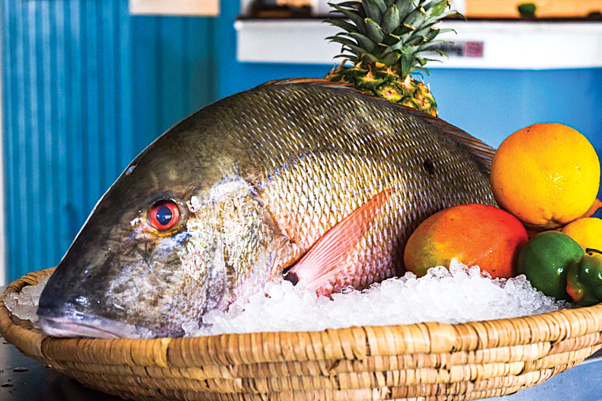 Fresh fish at Shore to Door