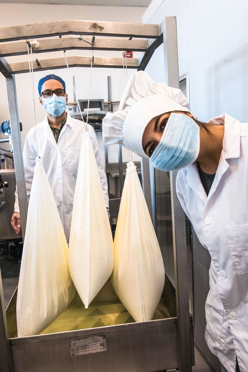 Yogurt is poured into cloth straining bags to let the whey drain
