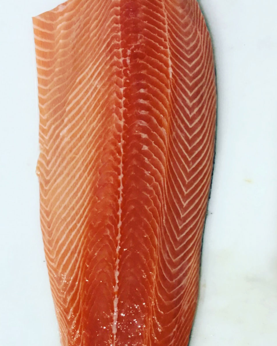 Salmon filet