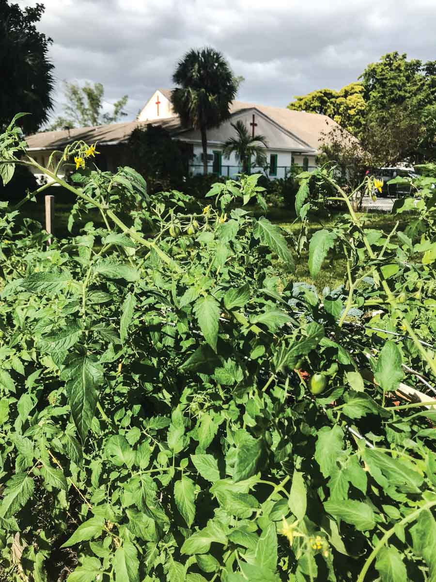 The farm is next to Parkway United Methodist Church in Pompano Beach