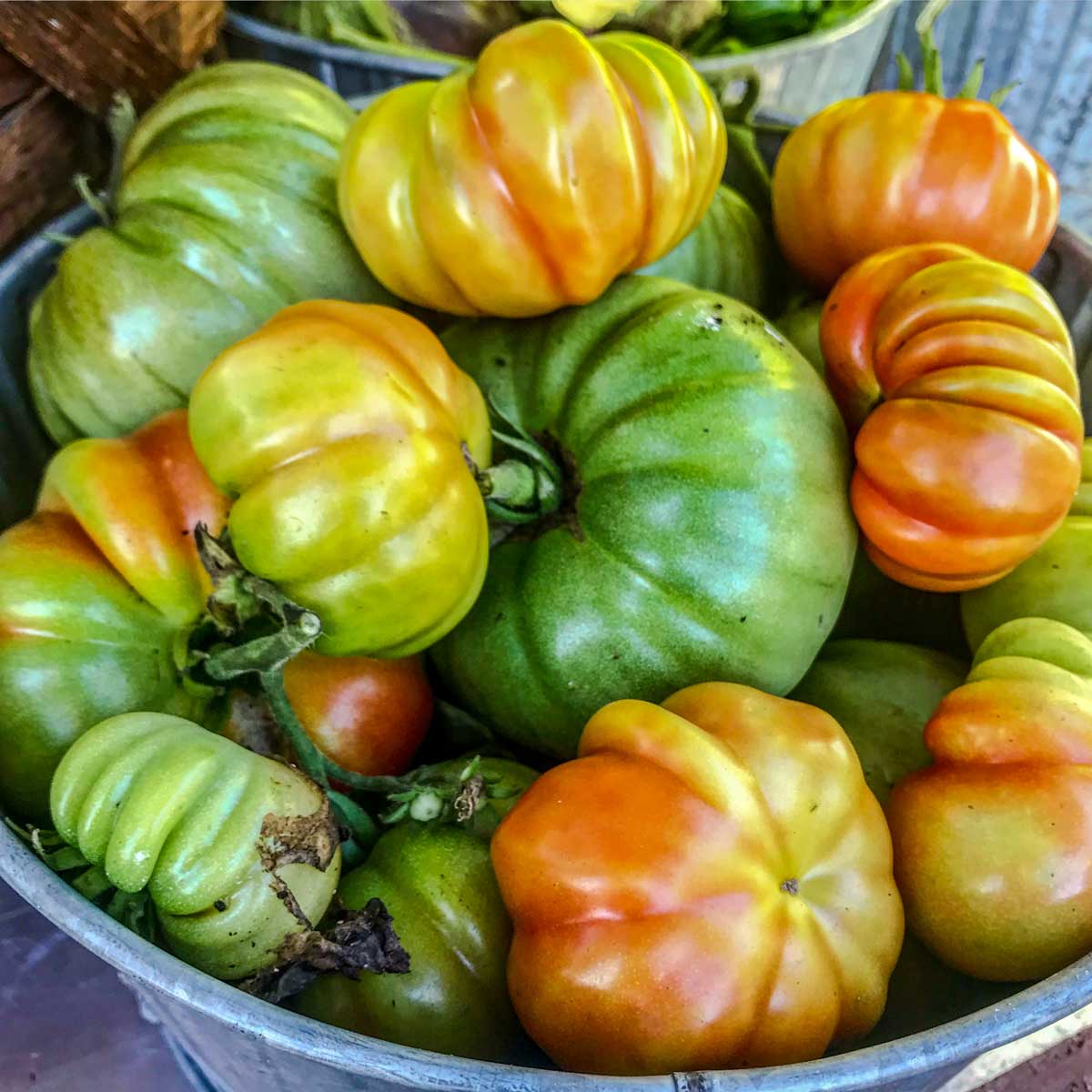 Heirloom tomatoes