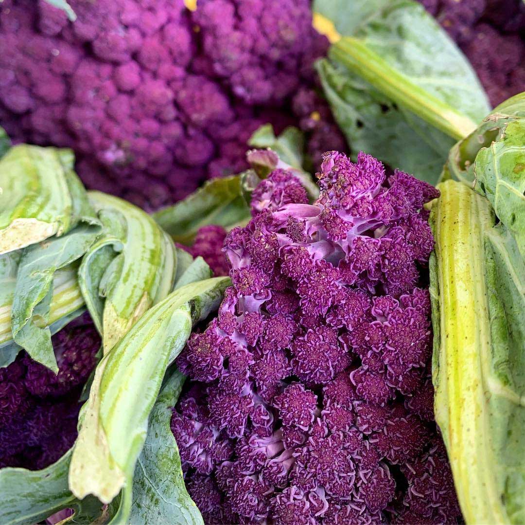 Purple cauliflower at the farmers market
