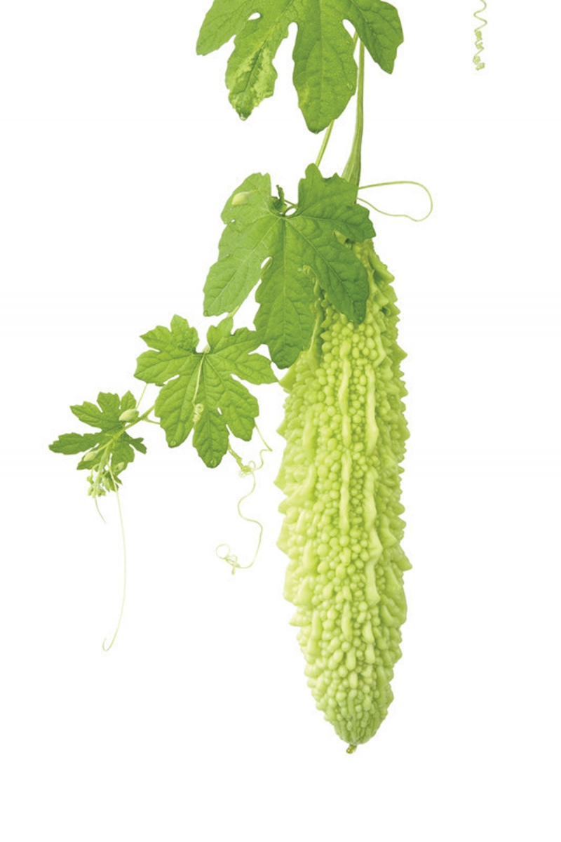 Bitter gourd or bitter melon