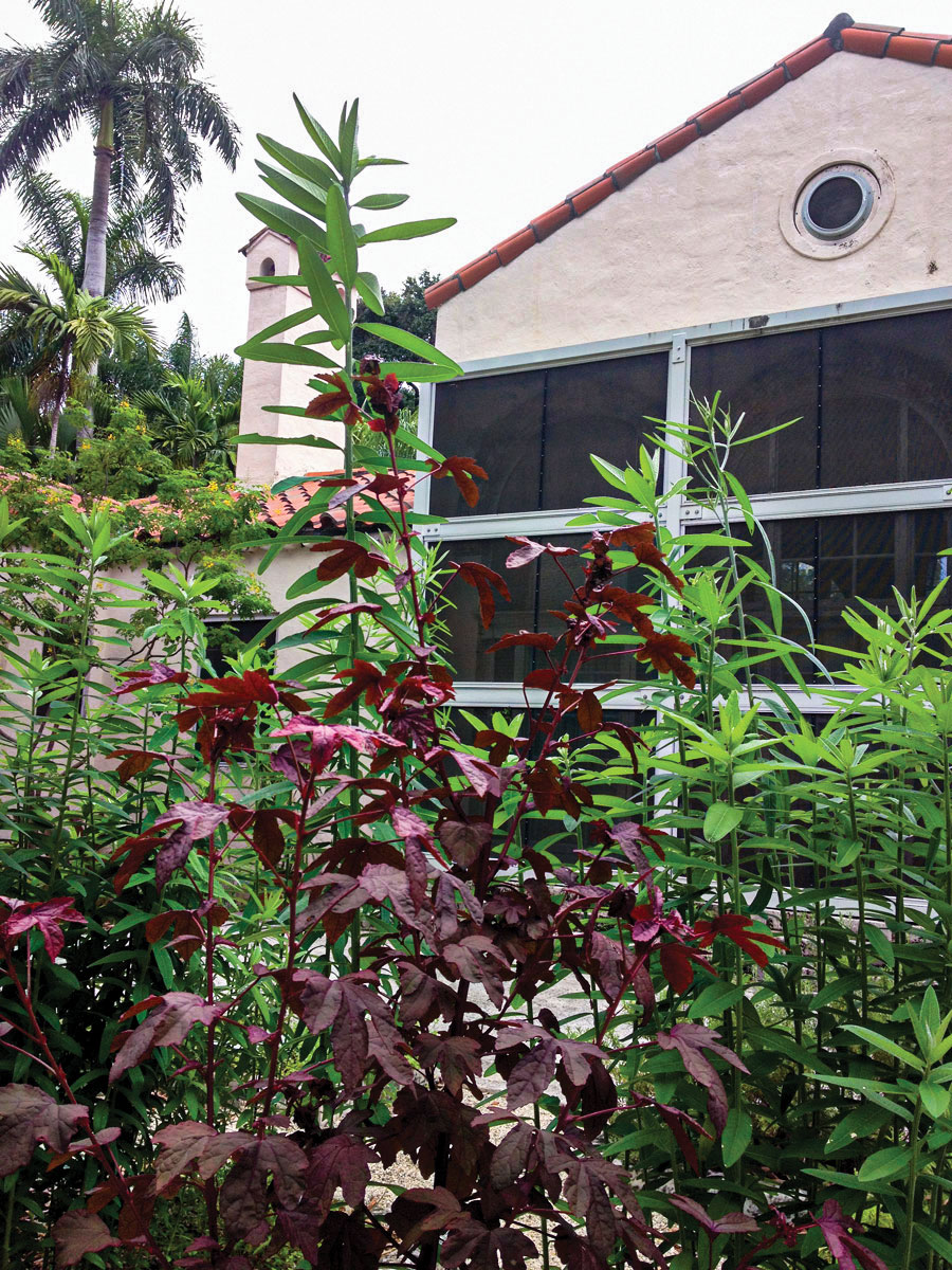 Kitchen garden at Vizcaya Village
