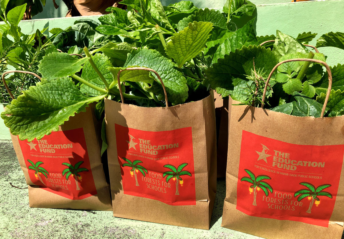 Produce bags from The Education Fund