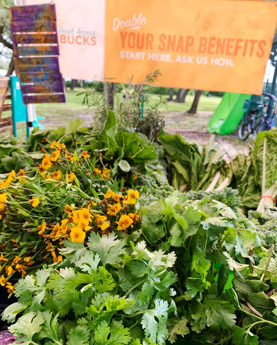 Urban Oasis Project farmers market