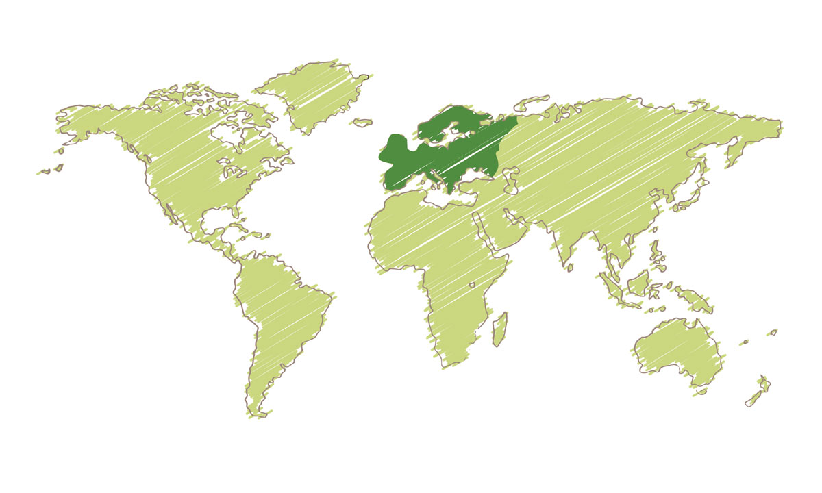 Europe/Mediterranean