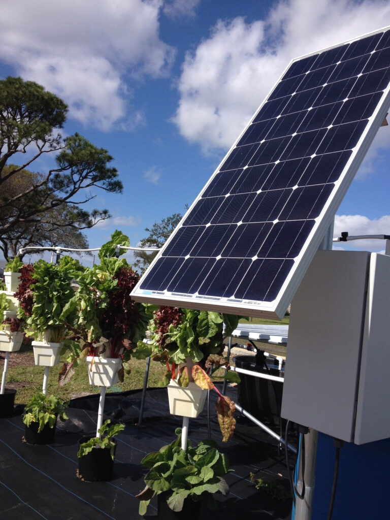 Urban Farming Institute, Oakland Park