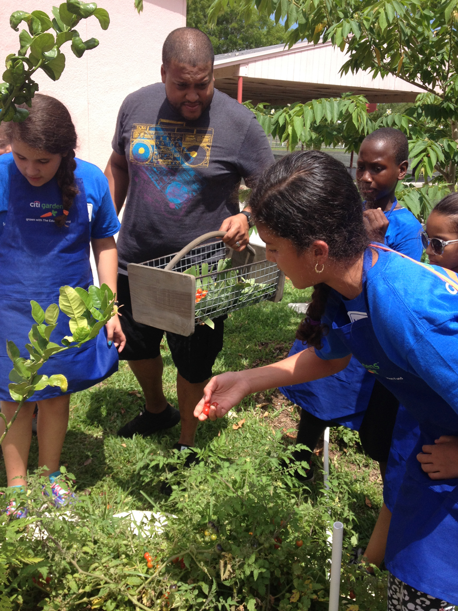 Food forest in Miami-Dade school