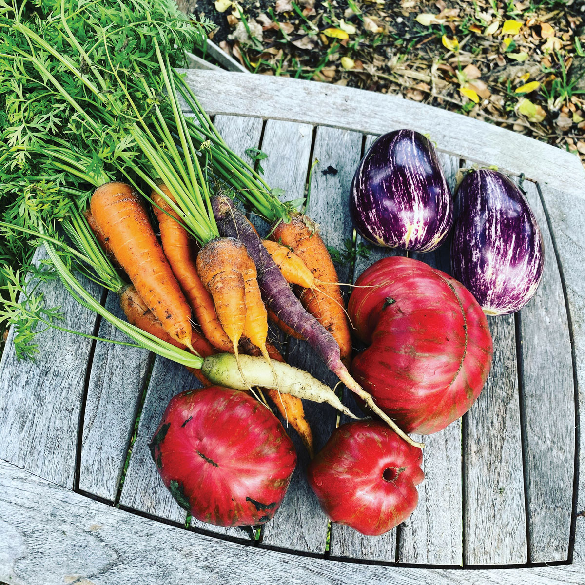 Carrots, tomatoes and eggplant
