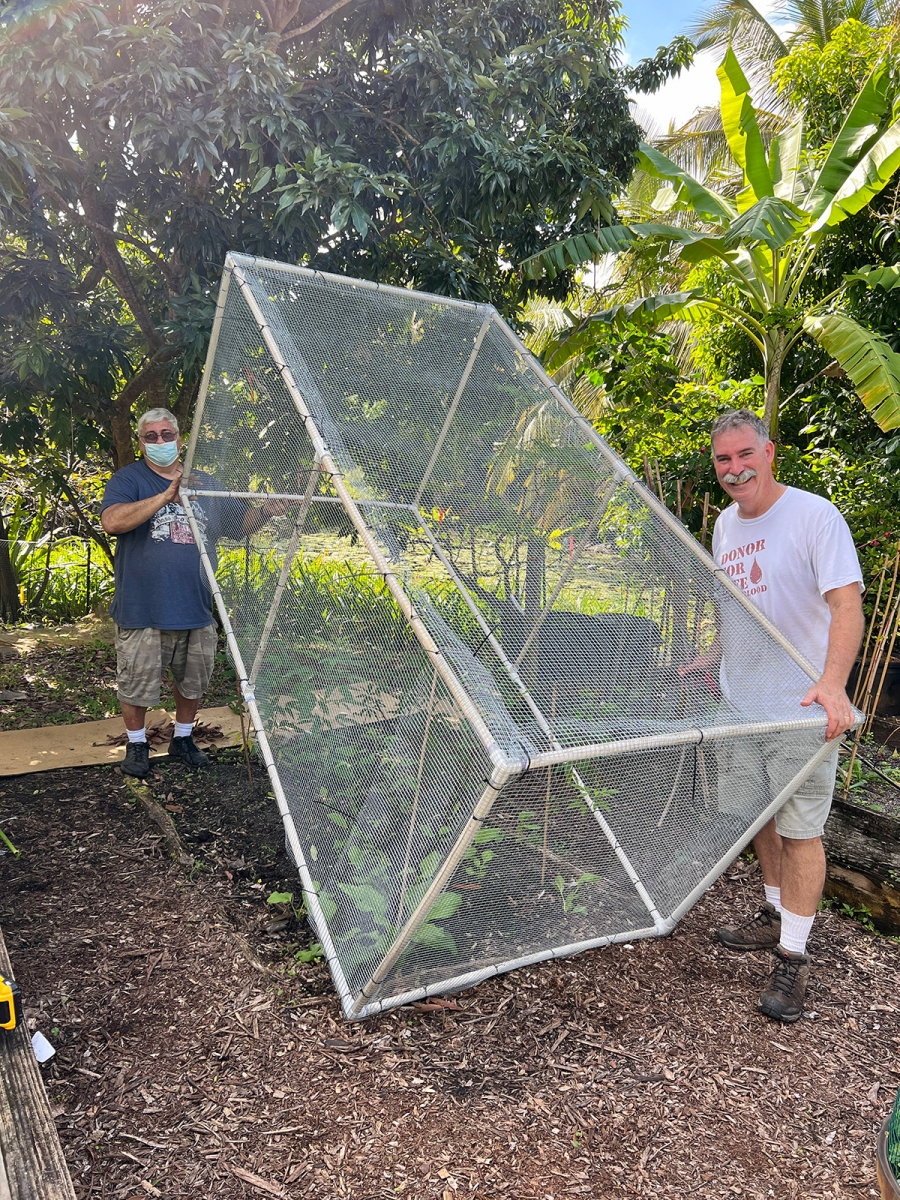 Rare Fruit and Vegetable Council of Broward members make cages from PVC and hardware cloth to keep critters out of the garden. 