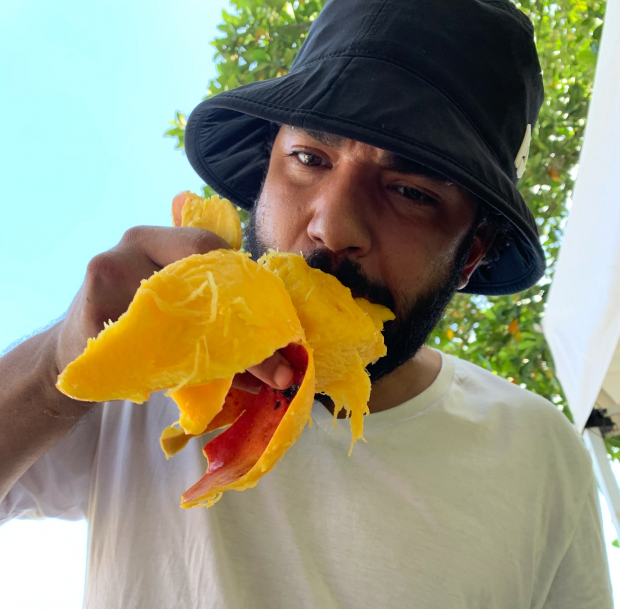 Enjoying mangos at the Summer Fruit festival at Fruit and Spice Park