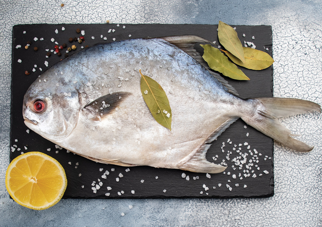 Florida pompano