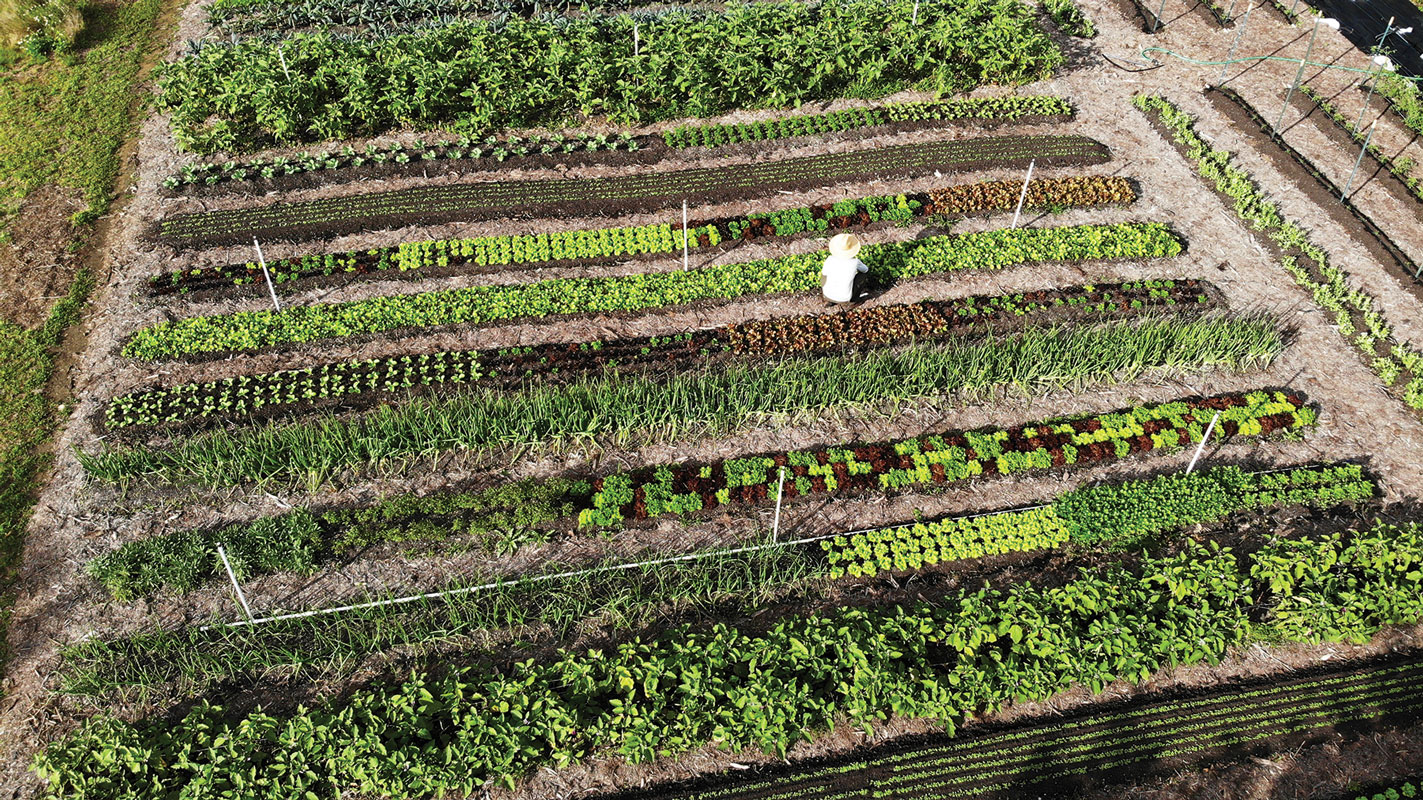 Tiny Farm in Redland