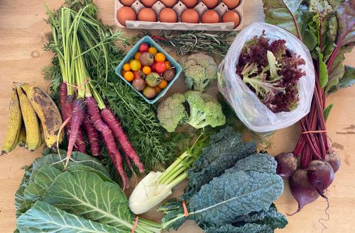 CSA box from Regener8 Farm
